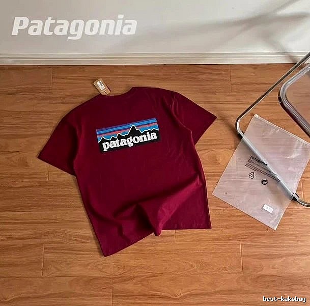 Patagonia Burgundy Red Logo T-Shirt Warm Weather Graphic