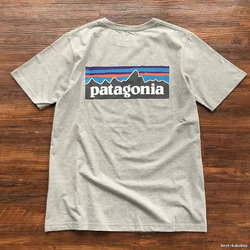 Patagonia Light Gray Logo T-Shirt Streetwear Look Graphic