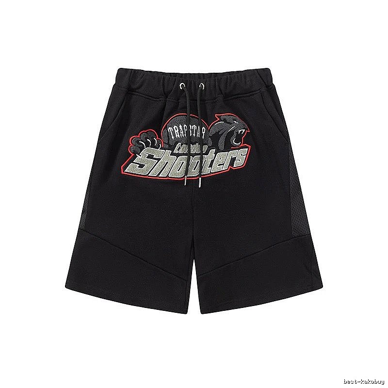 Toronto Raptors Casual Team graphic T-shirt Black Toronto Raptors for Streetwear Looks